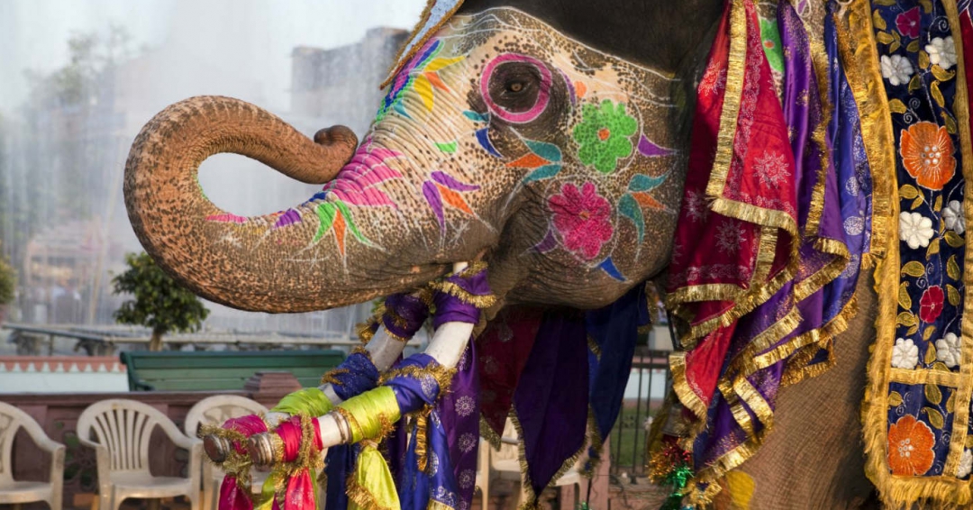 سفر به هند، سفر به صندوقچه اسرار در جنوب آسیا