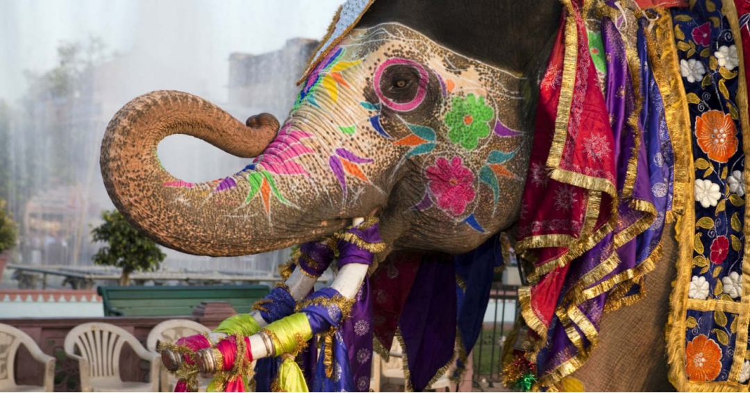 جاذبه های برتر گردشگری هند - شرکت هواپیمایی پاژسیر مجری تورهای اقساطی از مشهد