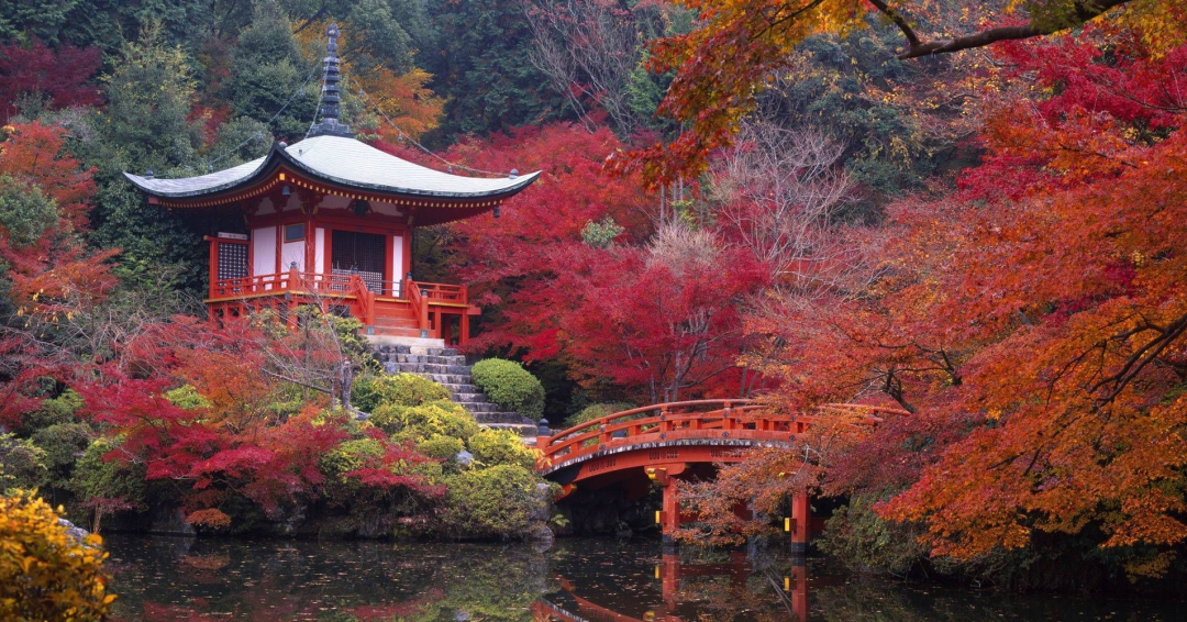 جاذبه های دیدنی ژاپن؛ سرزمین آفتاب