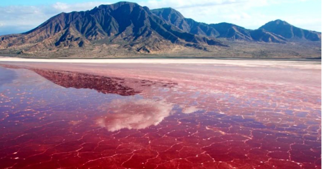 جاذبه های گردشگری چابهار - شرکت هواپیمایی پاژسیر مجری تورهای اقساطی از مشهد