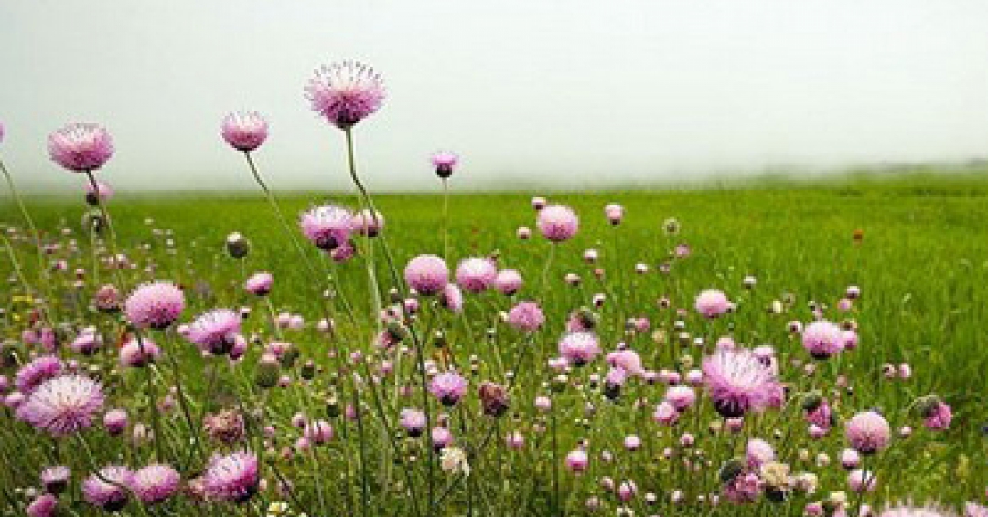 جاذبه های گردشگری اردبیل - شرکت هواپیمایی پاژسیر مجری تورهای اقساطی از مشهد