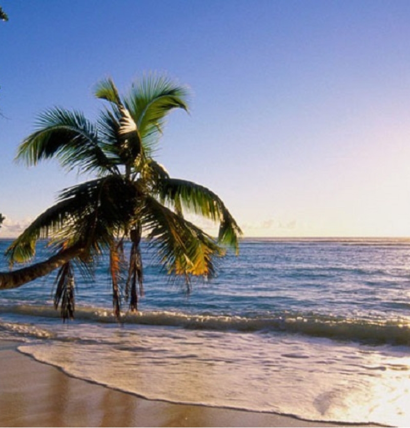 تورهای اقساطی کیش از مشهدآژانس هواپیمایی پاژسیر مجری تورهای داخلی و خارجی اقساطی از مشهد