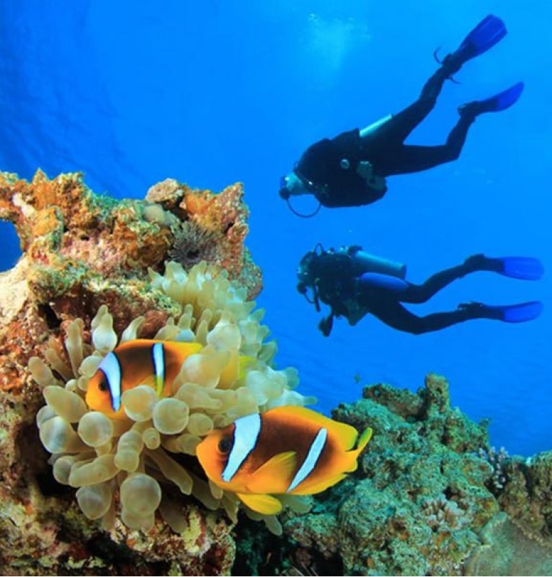 تورهای اقساطی کیش ارزان- قیمت- مشهد آژانس هواپیمایی پاژسیر مجری تورهای داخلی و خارجی اقساطی از مشهد