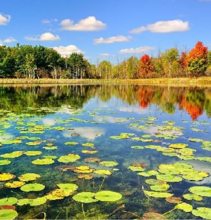 تورهای اقساطی انزلی ارزان ترین قیمت آژانس هواپیمایی پاژسیر مجری تورهای داخلی و خارجی اقساطی از مشهد