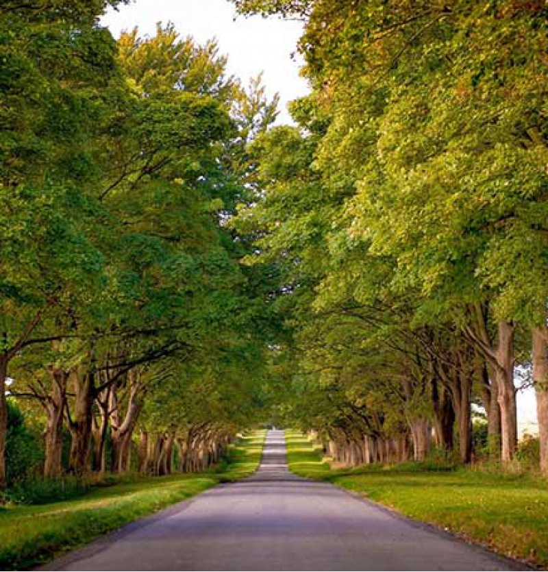 تور شمال از مشهد ( اقساط دلخواه ) شرکت هواپیمایی پاژسیر مجری تور های قسطی به شمال